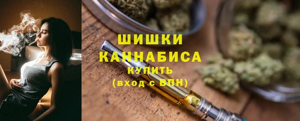 сатива Балахна