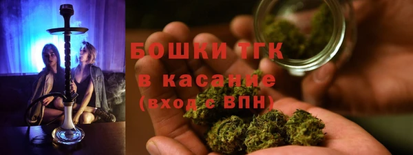 дмт Аркадак