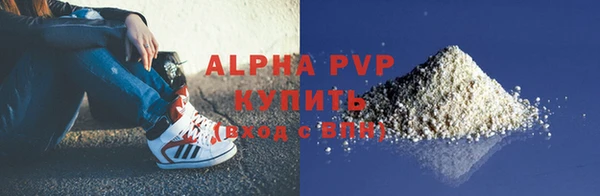 сатива Балахна