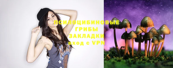 дмт Аркадак