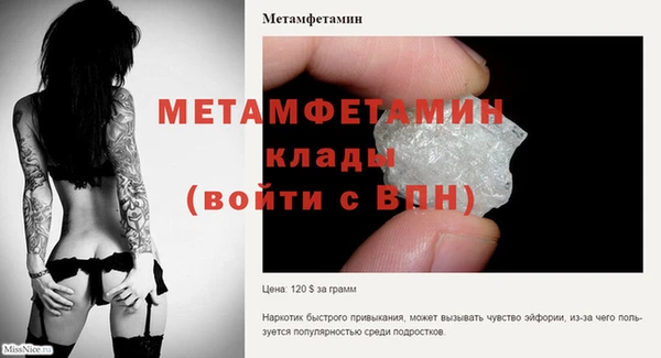 сатива Балахна