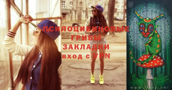 сатива Балахна