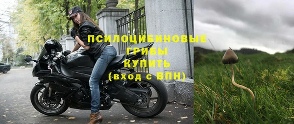 сатива Балахна