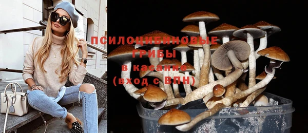 дживик Каменск-Шахтинский