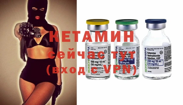 сатива Балахна