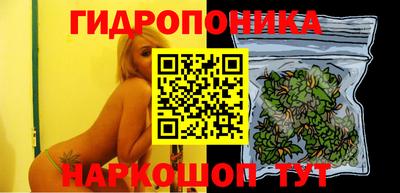 ПСИЛОЦИБИНОВЫЕ ГРИБЫ Кимры