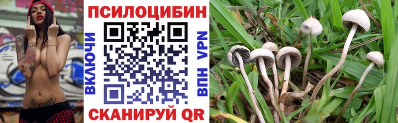 mega как войти  Крымск  Псилоцибиновые грибы Cubensis 