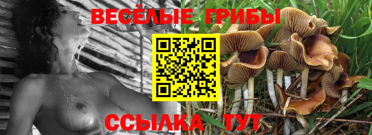 Крымск  Псилоцибиновые грибы прущие грибы  Вход с VPN 